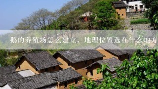 鹅的养殖场怎么建立，地理位置选在什么地方比较好呢？