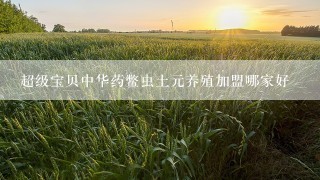 超级宝贝中华药鳖虫土元养殖加盟哪家好