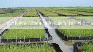 我思何所在 爱客不知倦 牡馥清时醉 丹草空氛氲 什么