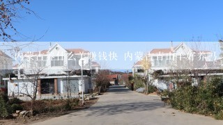 内蒙古养什么羊赚钱快 内蒙古青山羊好养吗