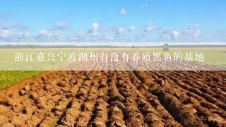 浙江嘉兴宁波湖州有没有养殖黑鱼的基地