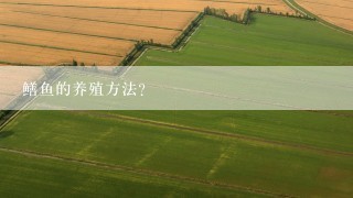 鳝鱼的养殖方法？