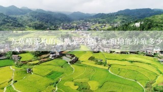 养黄鳝泥鳅的池塘怎么建，一亩地能养殖多少黄鳝