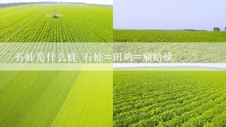 石蛙是什么蛙 石蛙=田鸡=癞蛤蟆