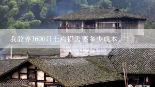 我散养1600只土鸡得需要多少成本。