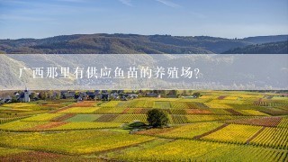 广西那里有供应鱼苗的养殖场？