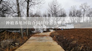 种植养殖回收合同纠纷怎么解决？