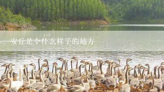 安丘是个什么样子的地方