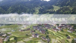 广东省汕头市潮阳区哪里有乌龟养殖场？