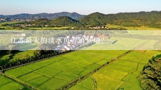 江苏最大的淡水鱼养殖基地？