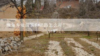 懒兔养殖前景和销路怎么样？