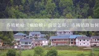 养殖蟾蜍（癞蛤蟆）前景怎样，市场销路如何，