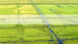 黄鳝的养殖方法和场地？