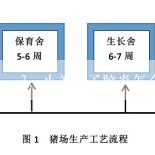 小羊得了脑炎怎么治？