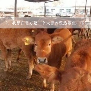 我想在北方建一个大棚养殖热带鱼，不知道前景如何，