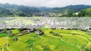 黑山羊养殖方法 黑山羊养殖方法介绍