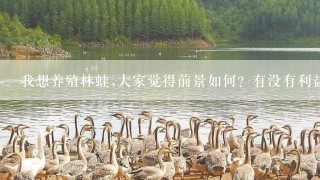 我想养殖林蛙,大家觉得前景如何？有没有利益可图？目前活林蛙价格如何？最好详细点