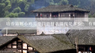 培养箱孵小鸡需要注意什么温度是多少？ 有那位专家知道？大神们帮帮忙