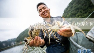 如何养殖土鸡（笨鸡），内蒙古荒山放养如何？成活率？利润如何？