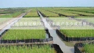 水泥池养殖泥鳅100平方米能产多少成品鳅？