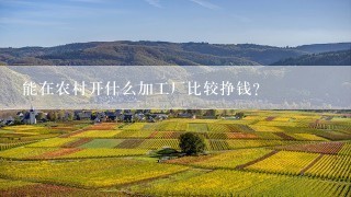 能在农村开什么加工厂比较挣钱？