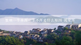 蟹塘一半水浑一半不浑是什么原因 泥浆浑