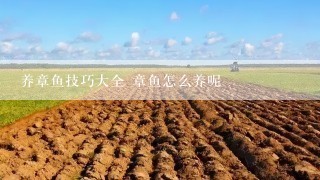 养章鱼技巧大全 章鱼怎么养呢