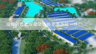 安徽省合肥市肥猪价格是多少钱一斤？