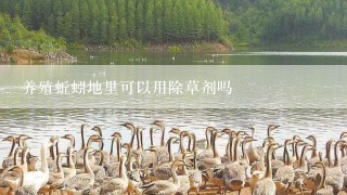 养殖蚯蚓地里可以用除草剂吗