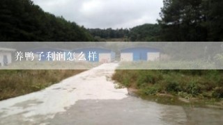 养鸭子利润怎么样