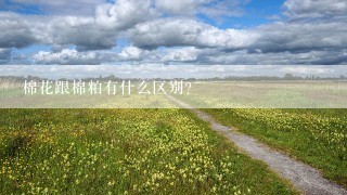 棉花跟棉粕有什么区别？