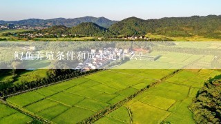 鲟鱼养殖条件和成本是什么?