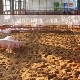 羊肉批发价连涨7周，牛羊肉价格每公斤超74元，是因