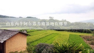 山东肉牛阿尔塔养殖基地在哪里