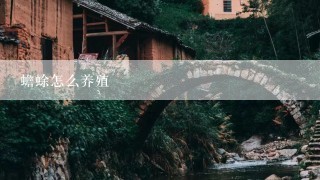 蟾蜍怎么养殖