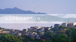 奶山羊和马头羊的区别？