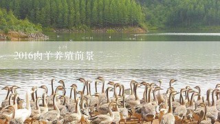 2016肉羊养殖前景