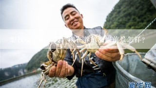 想投资养殖海鳗，现在养殖海鳗前景怎样？