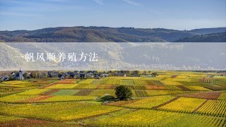 一帆风顺养殖方法