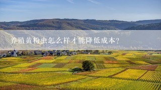 养殖黄粉虫怎么样才能降低成本？