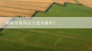 蟾蜍养殖场怎么建设最好？