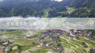 养殖鹿和野生鹿区别？