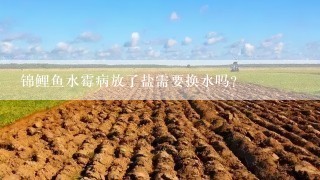 锦鲤鱼水霉病放了盐需要换水吗？