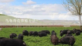 乌龟背壳养殖方法？