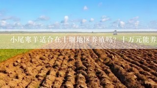 小尾寒羊适合在十堰地区养殖吗？十万元能养多少只波尔山羊，前景如何。