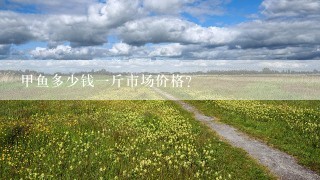 甲鱼多少钱一斤市场价格？