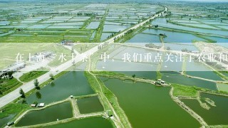 在上海“水十条”中，我们重点关注了农业和农村污染，为了推进农业和农村污染整治，我们采取了哪些行动？