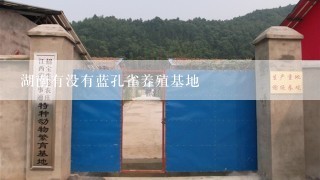 湖南有没有蓝孔雀养殖基地