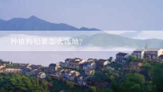 种植枸杞要怎么选地？