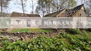 家中池塘大量死鱼，鲢鱼鲫鱼大量死亡，请问是什么原因？